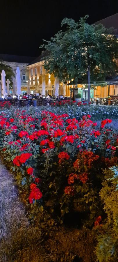 Ales Apartman Sombor Buitenkant foto